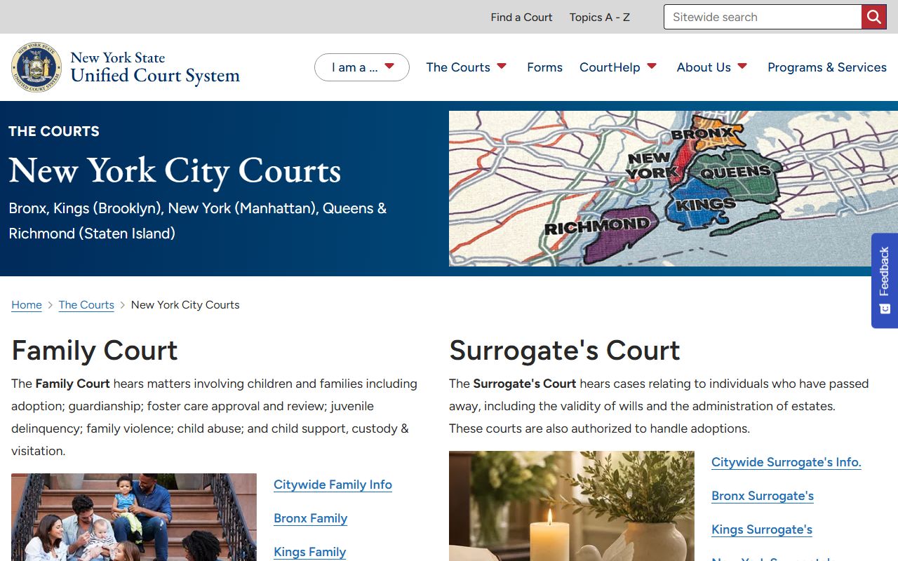 NYC Courts overview page listing Family, Surrogate's, Civil, Criminal, Supreme Civil, and Supreme Criminal courts for New York County